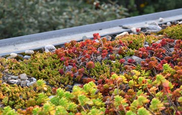 the cost of Glentress green roof installation