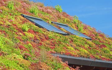 Glentress living roof systems